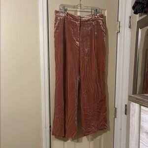 LOFT Elegant Women’s Dress Pants Shell Color Size 12P